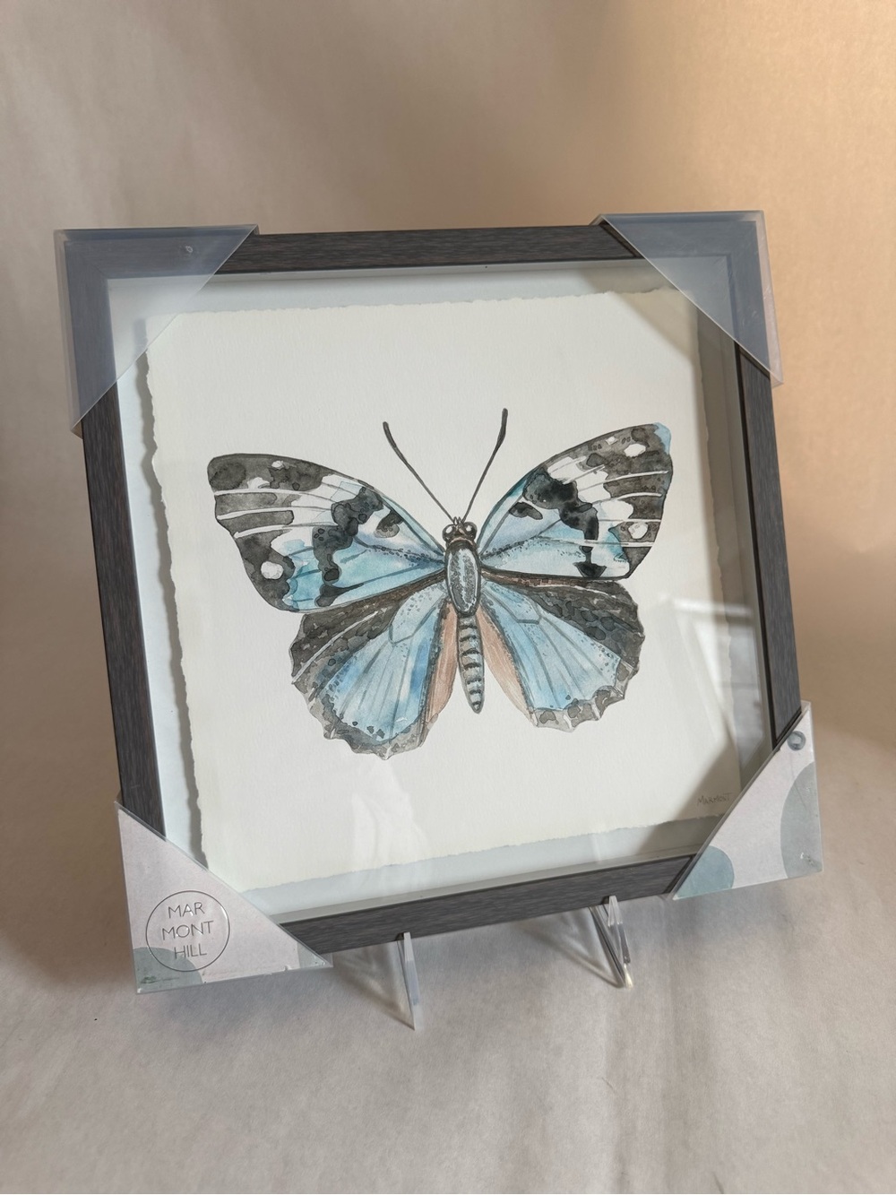Blue Butterfly Framed Art NWT